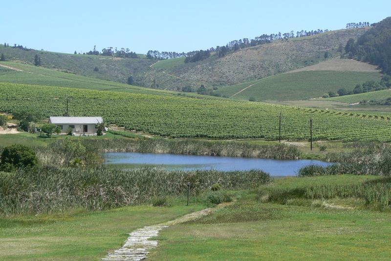 64 REGIONE DEI VIGNETI